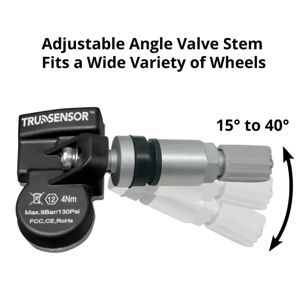 Ranger TS58R TPMS Tool Kits - 24 TruSensor 2 In 1 Sensors Silver Metal - Mechanic Super Store