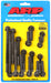 ARP Ford 289-302 12pt iron water pump and front cover bolt kit