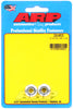 ARP 5/16-24 hex nut kit