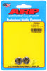 ARP 5/16-24 hex flange nut kit