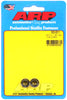 ARP M8 x 1.25 12pt nut kit