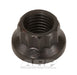 ARP M10 x 1.25  12pt nut kit