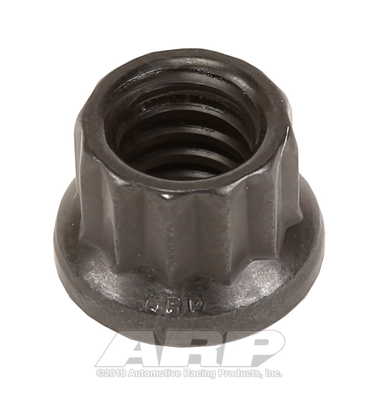 ARP 1/4-20 12pt nut kit