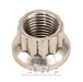 ARP 3/8-24 SS 12pt nut kit