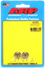 ARP 3/8-24 SS 12pt nut kit