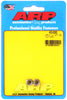 ARP M6 X 1.00 (M8 wr) SS 12pt nut kit