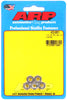 ARP 1/4-20 SS coarse hex nut kit