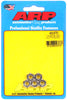 ARP 1/4-28 SS fine hex nut kit