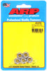 ARP 5/16-24 SS fine nyloc hex nut kit
