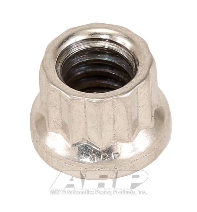ARP 1/4-20 SS 12pt nut kit